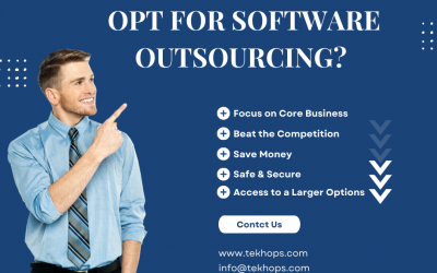 WHY SHOULD COMPANIES OPT FOR SOFTWARE OUTSOURCING?