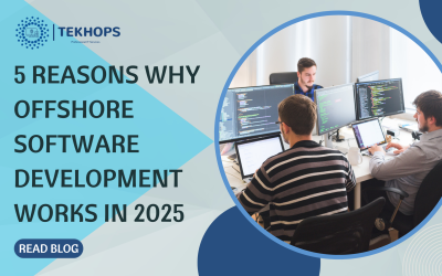 5 Reasons Why Offshore Software Development Works in 2025