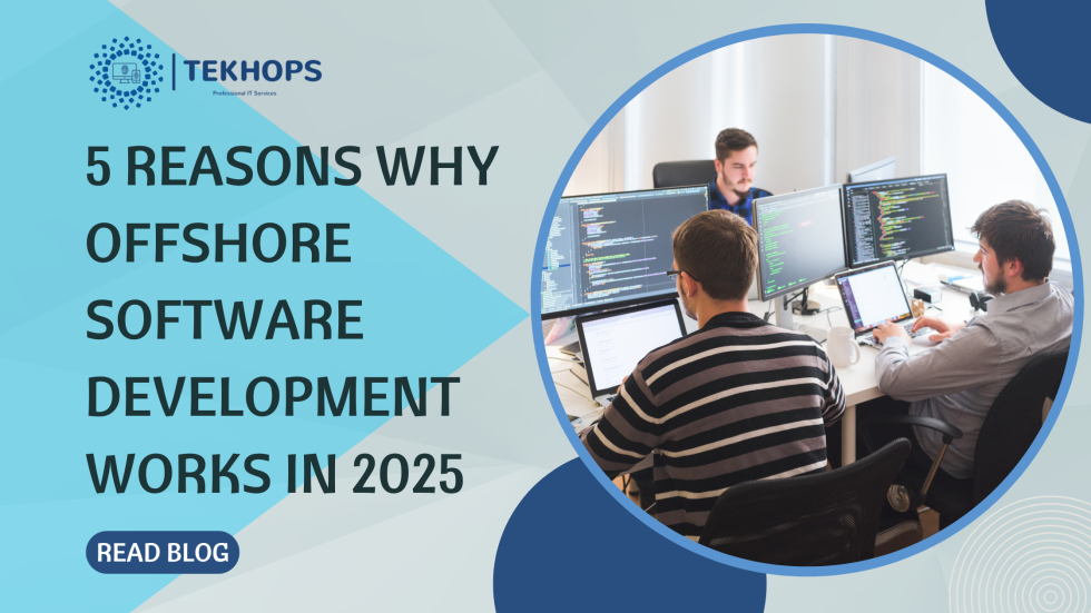 5 Reasons Why Offshore Software Development Works in 2025